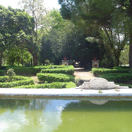 Hotel Rural Quinta De Santo Antonio Elvas Buitenkant foto
